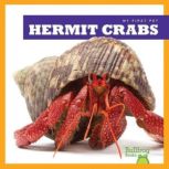 Hermit Crabs, Vanessa Black