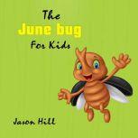 The June  bug for Kids, Jason Hill