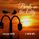 Birds in the City, Jason Hill