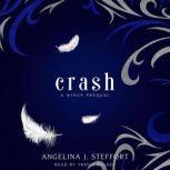 Crash A Wings Prequel, Angelina J. Steffort
