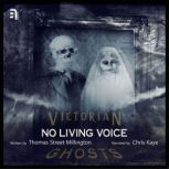 No Living Voice A Victorian Ghost Story, Thomas Street Millington