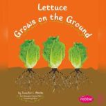 Lettuce Grows on the Ground, Mari Schuh