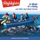 A Whale of a Baby and Other Real Whale Stories, Highlights for Children