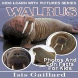 Walrus Photos and Fun Facts for Kids, Isis Gaillard