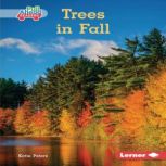 Trees in Fall, Katie Peters