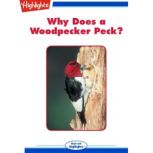 Why Does a Woodpecker Peck?, Jodi Forschmiedt
