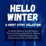 Hello Winter A Short Story Collection, Mindi Dickstein