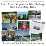 Bear River Migratory Bird Refuge, Salt Lake City Utah, Patricia L. Lawrence