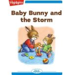 Baby Bunny and the Storm, Eileen Spinelli