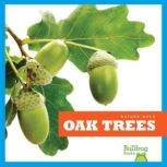 Oak Trees, Rebecca Stromstad Glaser