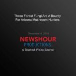 These Forest Fungi Are A Bounty For Arizona Mushroom Hunters, PBS NewsHour