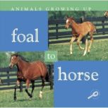 Foal to Horse Life Science - Animals Growing Up, Lynn Stone