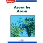 Acorn by Acorn, Judy Bridell