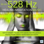 Healing Meditation Music 528 Hz 30 minutes The experience of well-being, Sara Dylan