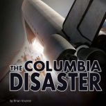 Shuttle In the Sky The Columbia Disaster, Brian Krumm