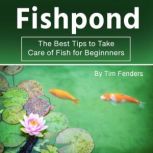 Fishpond The Best Tips to Take Care of Fish for Beginners