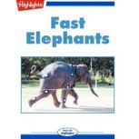 Fast Elephants, Jack Myers, Ph.D., Senior Science Editor