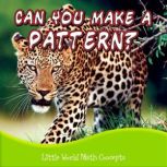 Can You Make a Pattern? Little World Math Concepts, Lin Picou
