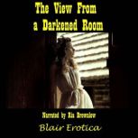 The View From A Darkened Room Searching For A Lusty Life, Blair Erotica