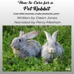 How To Care For A Pet Rabbit Cute Little Bunnies Make Fantastic Pets!, Owen Jones