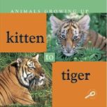 Kitten to Tiger Life Science - Animals Growing Up, Lynn Stone
