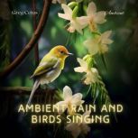 Ambient Rain and Birds Singing Mindful Birdsong and Light Rain for Meditation, Relaxation, and Yoga, Greg Cetus