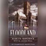 Floodland, Marcus Sedgwick