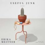 Useful Junk, Erika Meitner