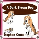 A Dark Brown Dog, Stephen Crane