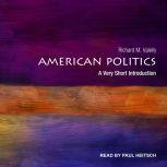 American Politics A Very Short Introduction