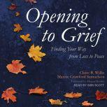 Opening to Grief Finding Your Way from Loss to Peace, Marnie Crawford Samuelson