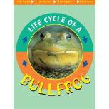 Life Cycle of a Bullfrog Life Science - Life Cycles, Jason Cooper