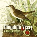 Canadian Veery and Other Bird Songs Ambient Soundscape for Peace of Mind, Greg Cetus