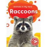 Raccoons, Amy McDonald