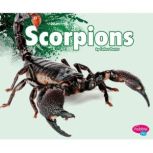 Scorpions, Esther Porter