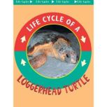 Loggerhead Turtles Life Science - Life Cycles, Jason Cooper
