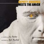 Deputy Jennings Meets the Amish A Novella, Jim Potter