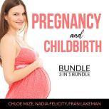 Pregnancy and Childbirth Bundle, 3 in 1 Bundle: Pregnancy Brain,  Pregnancy Food and Expecting Better, Chloe Mize