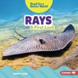 Rays A First Look, Percy Leed