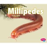 Millipedes, Nikki Clapper