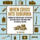 When Crisis Hits Suburbia, Ted Riley