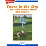 Foxes in the City, Highlights for Children