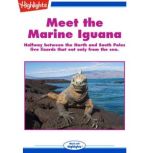 Meet the Marine Iguana Halfway between the North and South Poles live lizards that eat only from the sea., Sherry Shahan