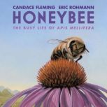 Honeybee The Busy Life of Apis Mellifera, Candace Fleming