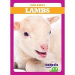 Lambs, Tim Mayerling