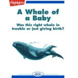 A Whale of a Baby Was this right whale in trouble or just giving birth?, Kim Valice
