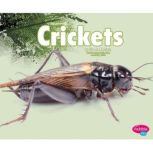 Crickets, Nikki Clapper