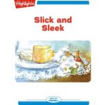Slick and Sleek: A High Five Mini Book, Stephanie Shaw
