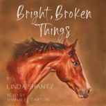 Bright, Broken Things A Good Things Come Prequel, Linda Shantz