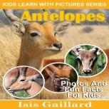 Antelopes Photos and Fun Facts for Kids, Isis Gaillard